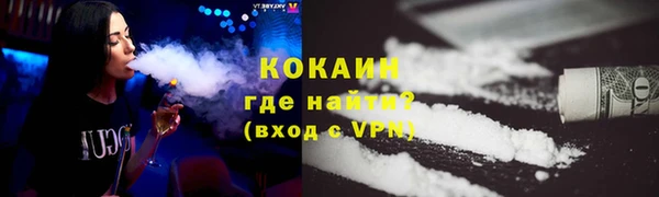 ПСИЛОЦИБИНОВЫЕ ГРИБЫ Вяземский