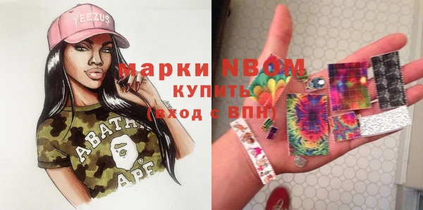 гидра Переславль-Залесский