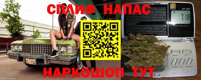 мдпв Гусев