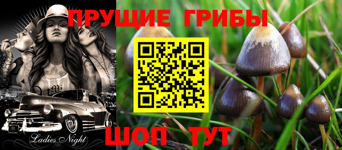 Галлюциногенные грибы Magic Shrooms  Зима 