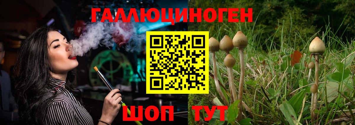 Зима  Псилоцибиновые грибы Psilocybe  Вход с VPN  Псилоцибиновые грибы Psilocybe 